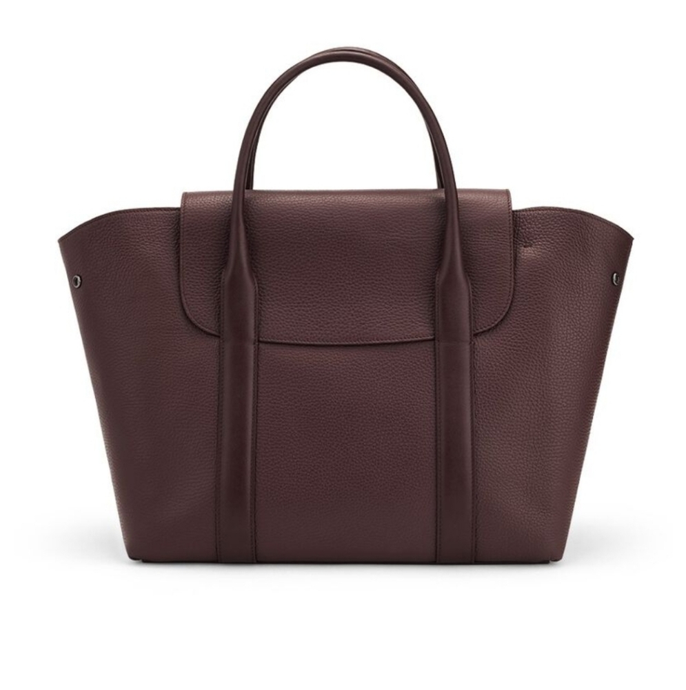 Cuyana Trapeze Satchel